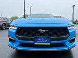 Certified 2024 Ford Mustang Premium image 5