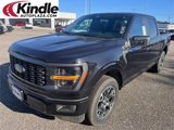 New 2025 Ford F150 STX w/ Equipment Group 200A image 1