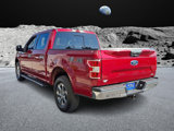 Certified 2019 Ford F150 XLT w/ Equipment Group 302A Luxury image 4