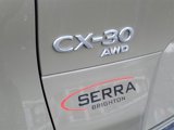 New 2025 MAZDA CX-30 Carbon image 6