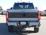 New 2025 Ford F250 Platinum image 4