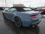 New 2025 Ford Mustang Convertible w/ Mustang Nite Pony Package image 3