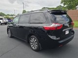Used 2020 Toyota Sienna Limited Premium image 3