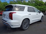 New 2025 Hyundai Palisade Calligraphy image 5