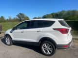 Used 2019 Ford Escape SE image 4