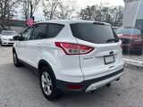 Used 2014 Ford Escape SE image 6
