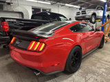 Used 2015 Ford Mustang GT Premium w/ Equipment Group 401A image 3