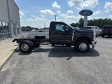 New 2025 Ford F350 4x4 Regular Cab DRW Super Duty image 4