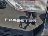 Used 2024 Subaru Forester Limited w/ Pop Package 2 image 5