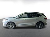 Used 2024 Ford Escape ST-Line image 4