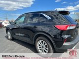 Used 2022 Ford Escape SE w/ Cold Weather Package image 4