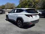 Used 2024 Hyundai Tucson Limited image 3