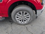 New 2025 Ford F150 XLT w/ Equipment Group 302A MID image 6