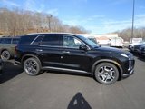 New 2025 Hyundai Palisade SEL image 4