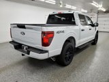 New 2025 Ford F150 STX w/ STX Black Appearance Package image 4