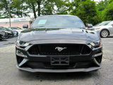 Used 2021 Ford Mustang GT Premium w/ GT Performance Package image 4