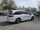 New 2025 Honda Odyssey Elite image 4