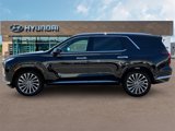 New 2025 Hyundai Palisade Calligraphy image 3