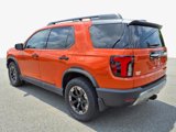 New 2026 Honda Passport TrailSport Elite image 2