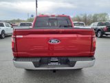 New 2025 Ford F150 XLT image 4