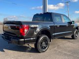 New 2025 Ford F150 STX image 5