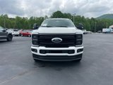 New 2025 Ford F250 Platinum image 2