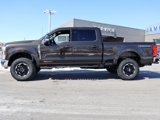 New 2025 Ford F250 XL image 2
