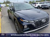 Certified 2024 Hyundai Tucson Blue image 5