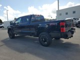 New 2025 Ford F250 Platinum image 6