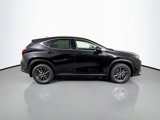 New 2025 Lexus NX 300h AWD w/ Luxury Package image 4