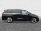 New 2025 Honda Odyssey Elite image 6