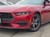 Certified 2024 Ford Mustang Premium image 3