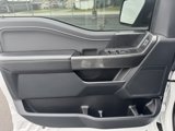 Used 2023 Ford F150 XLT w/ Equipment Group 302A High image 2