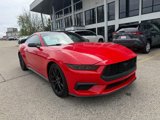 Used 2024 Ford Mustang Coupe image 3