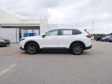 New 2026 Honda CR-V EX-L image 6