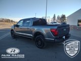 New 2025 Ford F150 XLT image 3