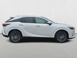 New 2025 Lexus RX 350 AWD w/ Convenience Package image 4