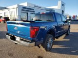New 2025 Ford F150 XLT w/ Equipment Group 302A MID image 6