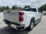 Used 2024 Chevrolet Silverado 1500 W/T w/ WT Fleet Convenience Package image 4