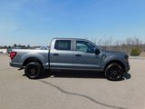 New 2025 Ford F150 STX image 2