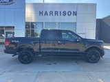 New 2025 Ford F150 XLT image 4