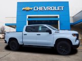 New 2024 Chevrolet Silverado 1500 Custom Trail Boss w/ Turbomax Blackout Package image 2
