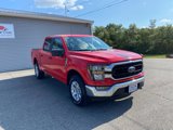 Used 2023 Ford F150 XLT image 5