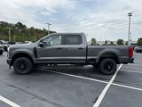 New 2026 Ford F250 XL w/ STX Appearance Package image 4