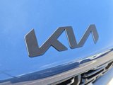 New 2025 Kia Sorento SX Prestige image 4