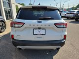 Used 2021 Ford Escape SEL w/ Technology Package image 6