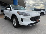 Used 2020 Ford Escape SE image 5