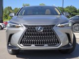 New 2026 Lexus NX 350 AWD w/ Premium Package image 3