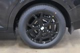 New 2025 Kia Carnival SX Prestige image 4