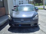 Used 2010 Nissan Maxima 3.5 SV w/ Sport Pkg image 2